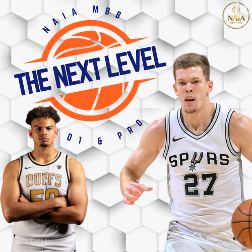 The Next Level | D1 and Pro Updates
